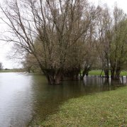 Der neue Seitenarm bei Hochwasser (Foto: Thomas Chrobock)