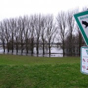 Winterhochwasser Anfang 2018 (Foto: Thomas Chrobock)