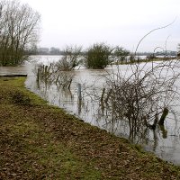 Melkstalldamm beim Hochwasser 2011