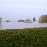 Blick auf Bislich beim Hochwasser 2011