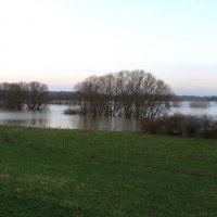 Winterhochwasser Anfang 2018 (Foto: Thomas Chrobock)