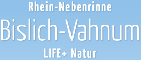 Rhein-Nebenrinne Bislich-Vahnum | Life+ Natur